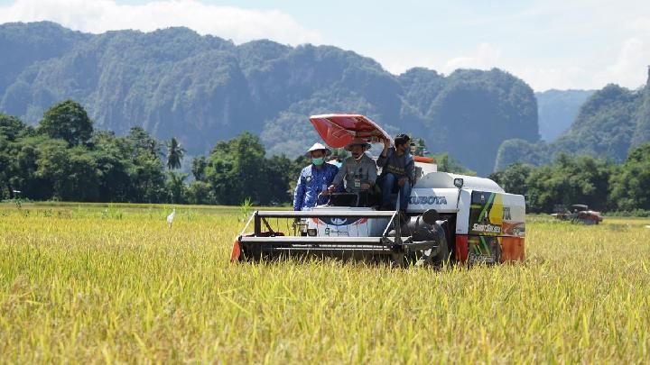 Penggunaan teknologi pertanian berupa mesin pemanen padi (nasional.tempo.co)