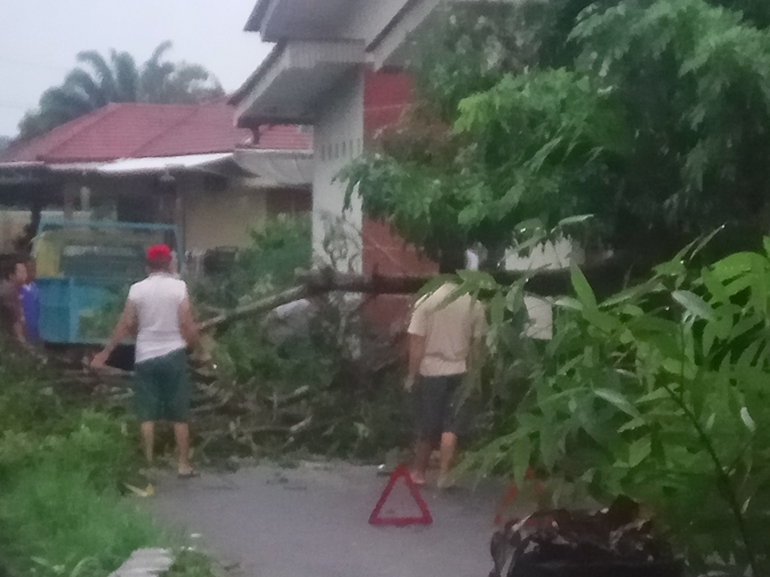 Pohon tumbang menghalangi jalan Senin pagi (15/11) di RSS Sungailiat (dokpri) 