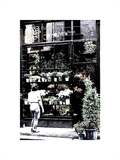 La boutique des Saints-Peres (pris a partir de flower. fr -edite) 