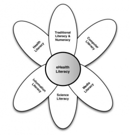 e-Health Literacy Lily Model (Sumber: ncbi.nlm.nih.gov)