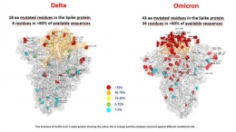 Perbedaan profil Omicron dibanding Delta menurut ANSA (Foto: ANSA).