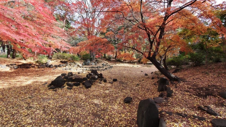 Ilustrasi musim gugur di Jepang | Dokumentasi pribadi