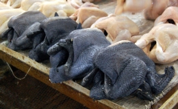 Perbandingan daging ayam kapas (hitam) dengan ayam biasa. Photo: Flickr/Shubert Ciencia  