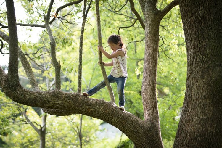 Ilustrasi anak bermain di alam terbuka. (sumber: Hakase_ via kompas.com)