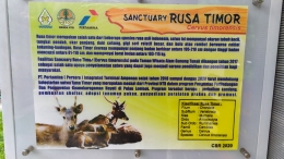 Informasi tentang Sanctuary Rusa Timor di TWA Gunung Tunak. (Foto: Gapey Sandy)