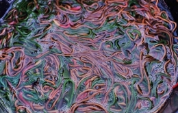 Nyale atau cacing laut. (Foto: genpilomboksumbawa.com)