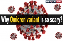 Foto: https://thevocalnews.com/india/omicron-why-the-new-coronavirus-strain-is-so-scary-know-all-about-the-b-1-1-529-variant/49879/