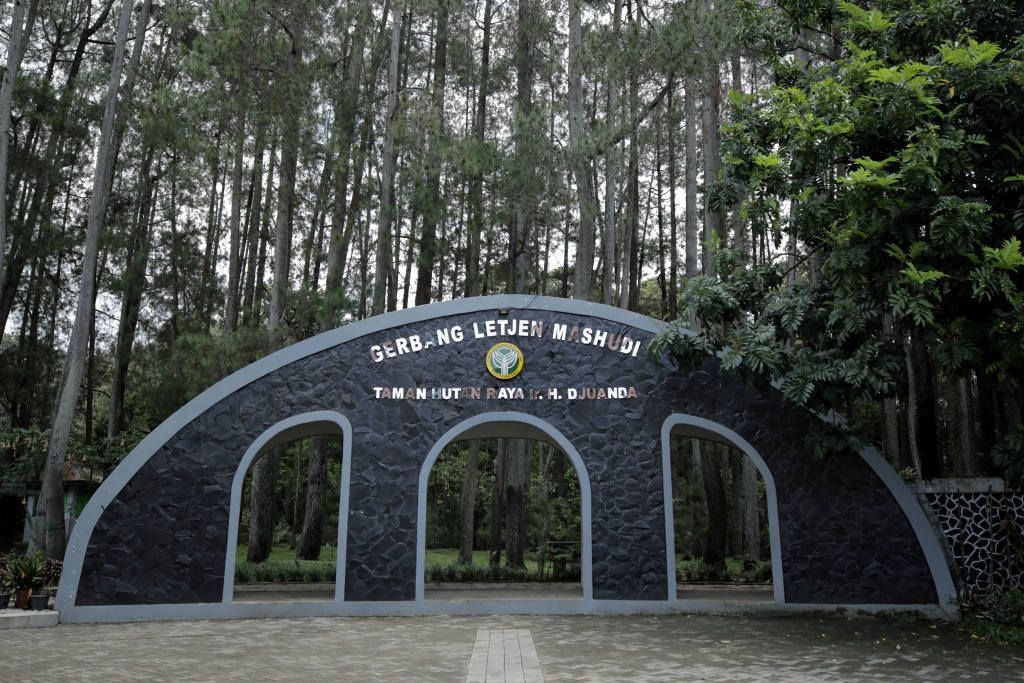 Taman Hutan Raya Bandung