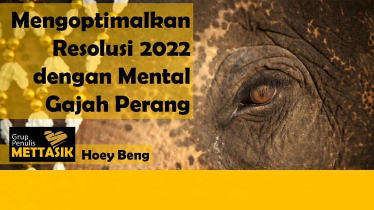 Mengoptimalkan Resolusi 2022 dengan Mental Gajah Perang (Foto: wired.co.uk, desain oleh penulis)