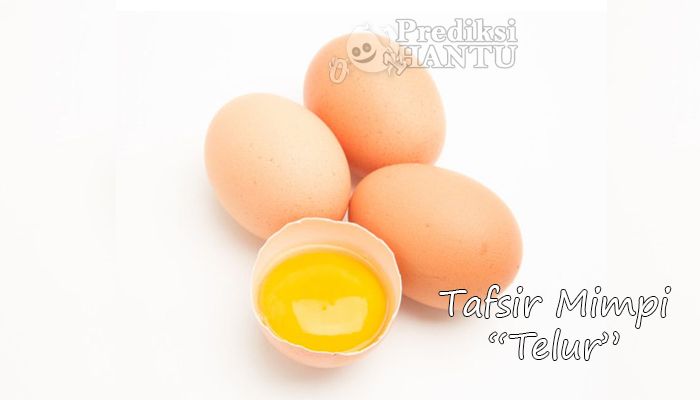 Tafsir Mimpi Telur Halaman 1 - Kompasiana.com