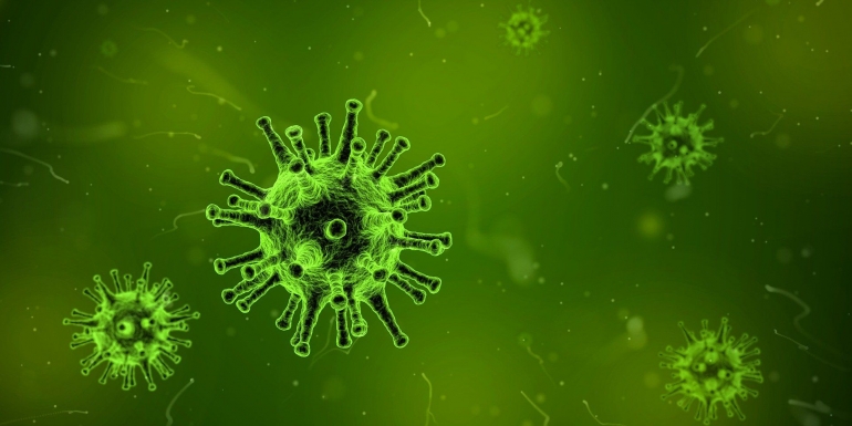 Virus Omicron. Sumber Pixabay.com