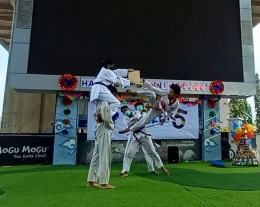 Taekwondo ilmu bela diri dengan teknik seni tangan dan kaki/dokpri