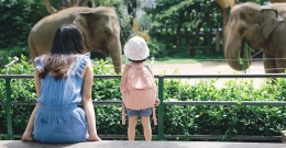 Seorang Anak Yang Takjub Melihat Gajah | Sumber Situs Halodoc