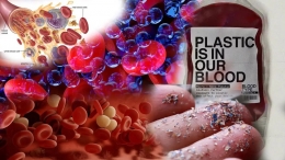 Ilustrasi Mikroplastik Dalam Darah/Sumber :10tv.in