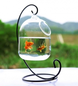 Ikan dalam vas bunga (mustikaland.co.id)