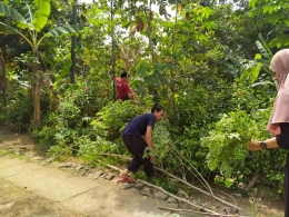 Melimpahnya tanaman kelor di Pilangrejo (Sumber: Dokumentasi tim PHP2D UKM KPM)