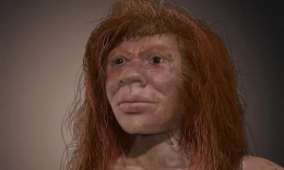 Rekonstruksi wajah Denny, yang merupakan anak dari perkawinan antara Ibu Neanderthal dengan Bapak Denisovans. Sumber: John Bavaro/early-man.com