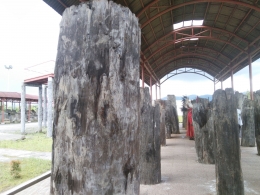 Kayu kayu bekas Benteng dalam perang Tondano.| Dokumentasi pribadi