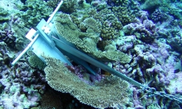Jangkar yang tersangkut di karang berpotensi merusak terumbu karang/Sumber: www.carapandang.com