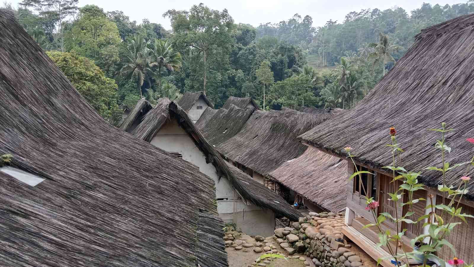 91 Wallpaper Rumah Naga For FREE - MyWeb