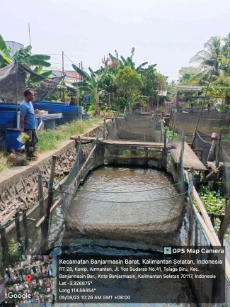 Hasil wawancara Desa Telaga Biru Hasil wawancara Desa Telaga Biru
