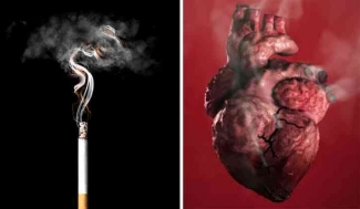 Règlements interdisant de fumer dans les lieux publics : étapes importantes pour maintenir la santé cardiaque