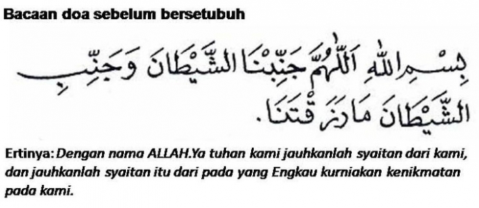 img-wordpress.com