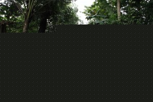 1367633007813135405