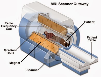 MRI merupakan alat dalam ilmu kedokteran yang memanfaatkan prinsip