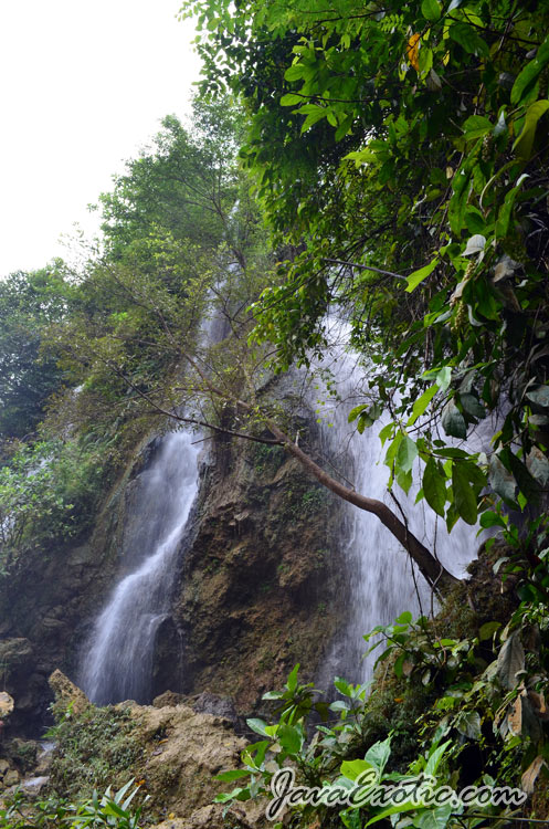 foto: http://javaexotic.com/