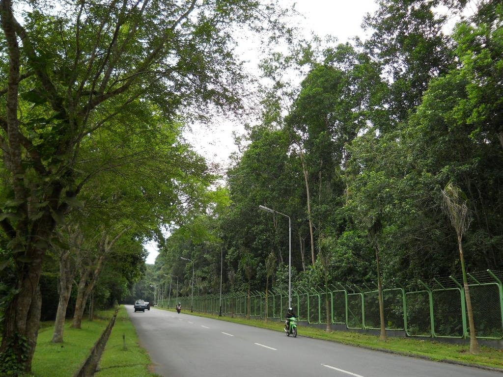 Hutan di tengah kota Balikpapan (PalingIndonesia)