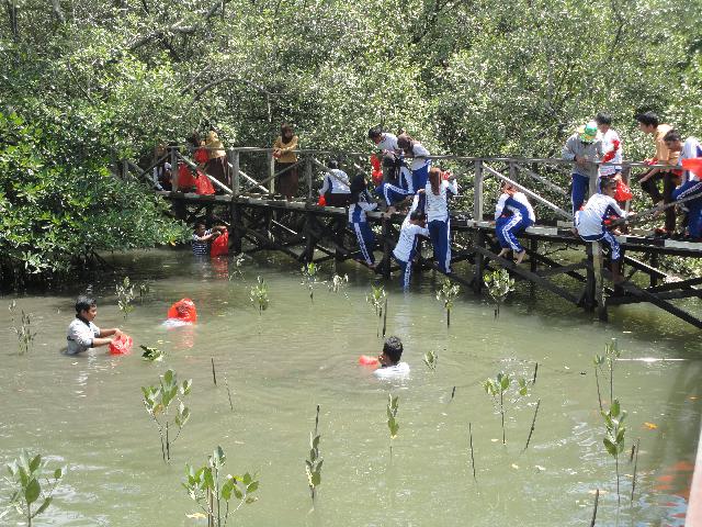 Menceburkan diri di rawa pun tak masalah bagi para pendekar muda mangrove Balikpapan ini (sman8bpp.sch.id)