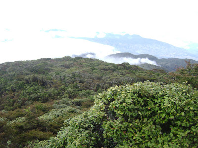 Pemandangan dari Pos 7, puncak bukit I Bawakaraeng