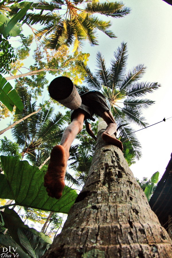 kerja keras tak terbatasi usia (photo by Dhanang Dhave)