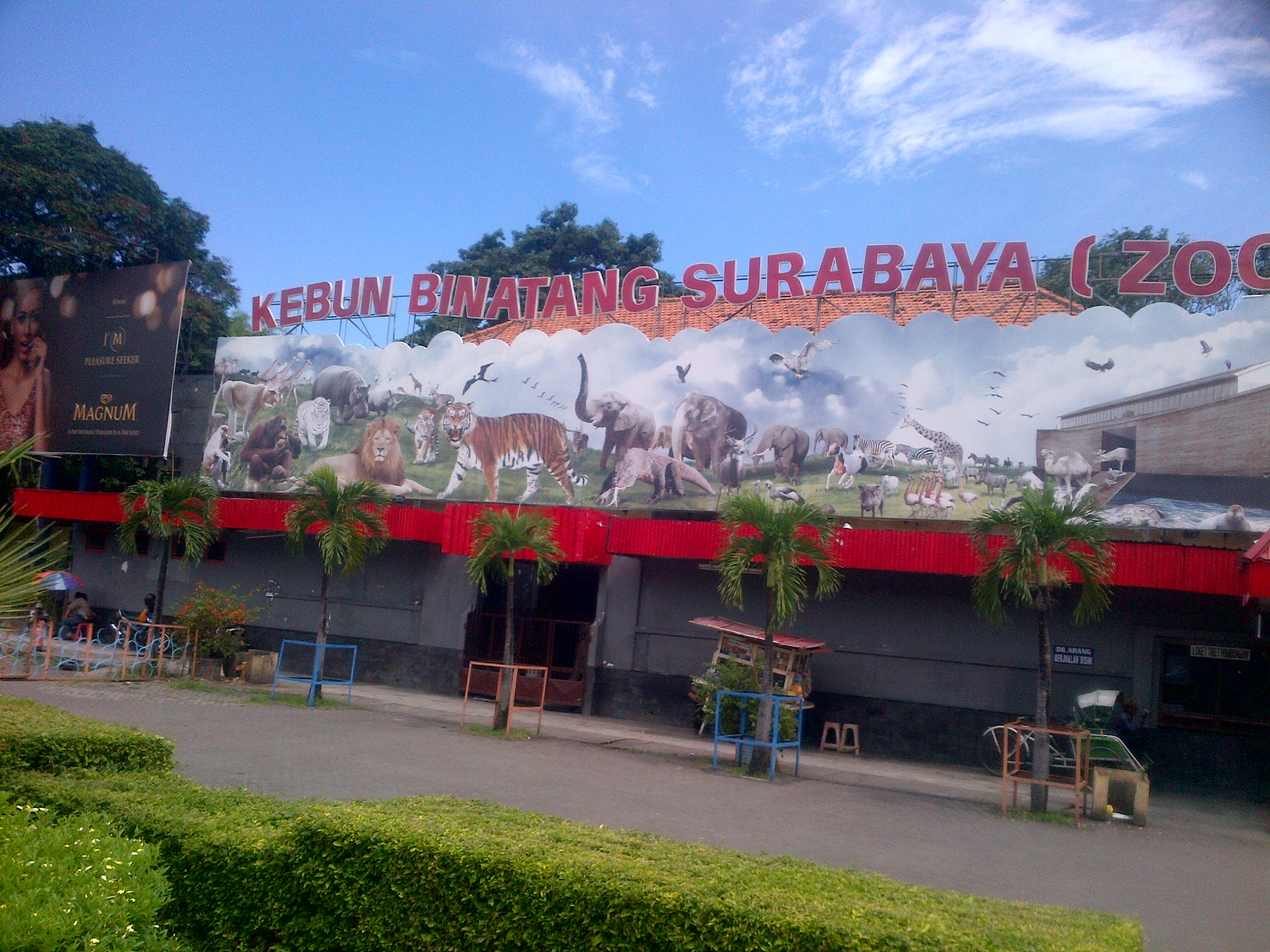 foto kebun binatang surabaya