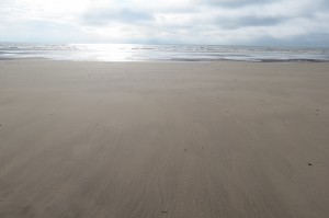 13424649931054344394
