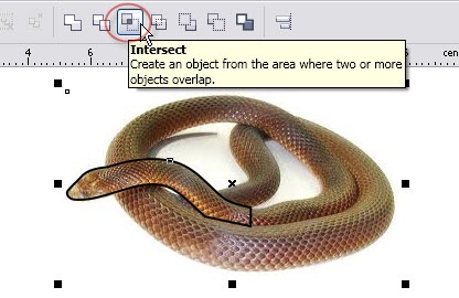 13392127131819361045