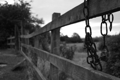 Do you use links