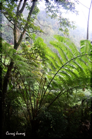 14046325121364995555 14046325121364995555