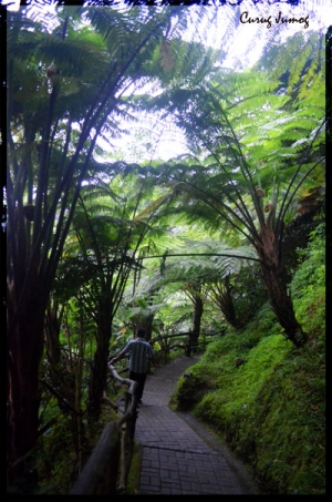 14046325481559316282 14046325481559316282