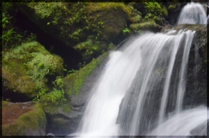 1404632772844786468 1404632772844786468