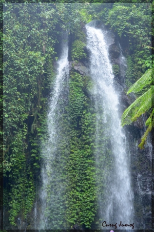 14046328882039134410 14046328882039134410