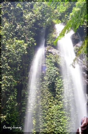 14046329222081978233 14046329222081978233