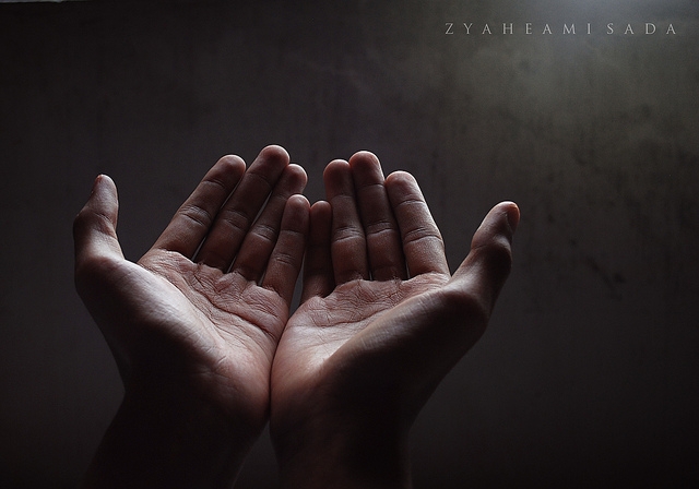 14049598581417912275 14049598581417912275