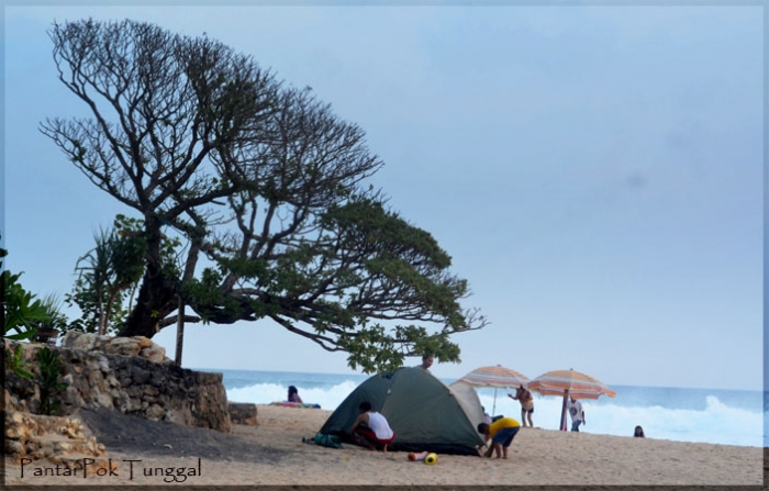 14051199712045747871 14051199712045747871