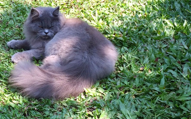 1405281075800599360 1405281075800599360