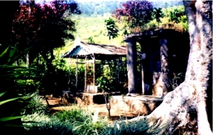 14067902981127529418 14067902981127529418