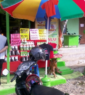 14067912677840336 14067912677840336