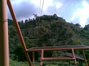 1406791537576073983 1406791537576073983