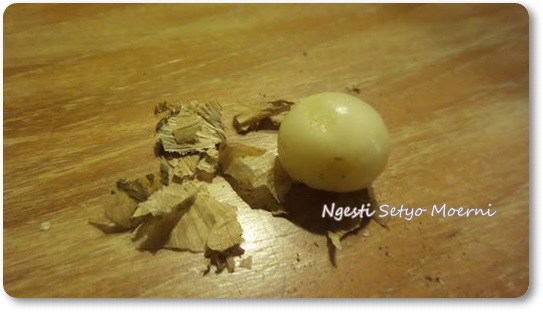 14069907861440930026 14069907861440930026